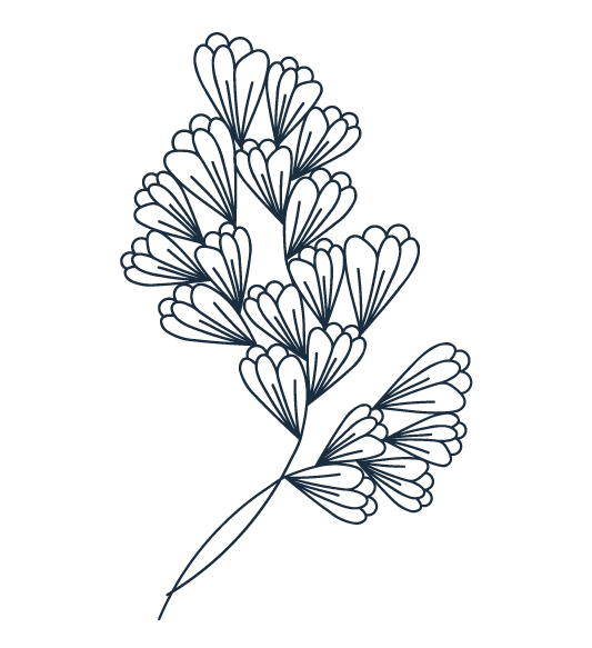 A drawing of flowers