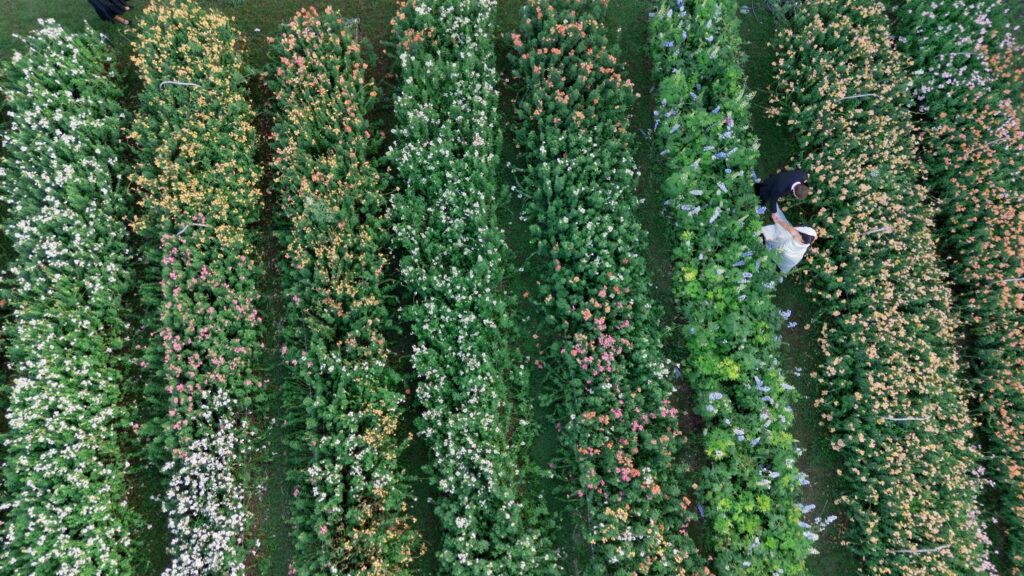 Spring wedding at an outdoor wedding venue in Austin, Texas — garden in bloom at Grand Lady.
